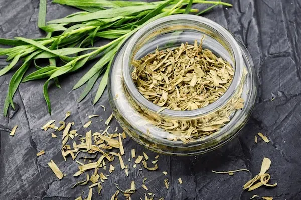 راهنمای خرید سبزی خشک ترخون + قیمت عالی