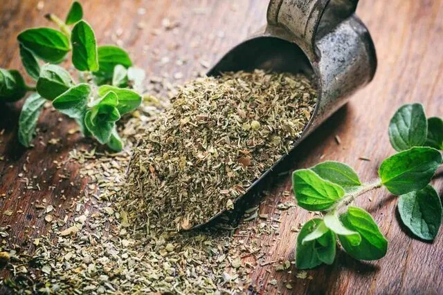 راهنمای خرید آویشن خشک کوهی + قیمت عالی