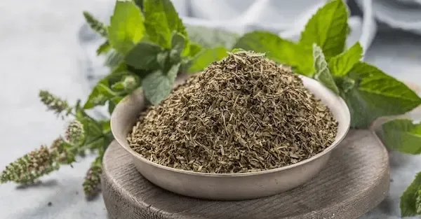 قیمت خرید سبزی کرفس خشک + مشخصات، عمده ارزان