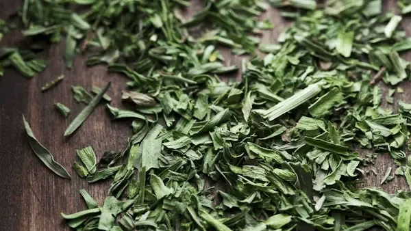 راهنمای خرید سبزی خشک ترخون + قیمت عالی