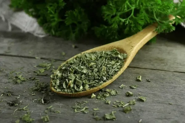 راهنمای خرید گشنیز خشک شده + قیمت عالی