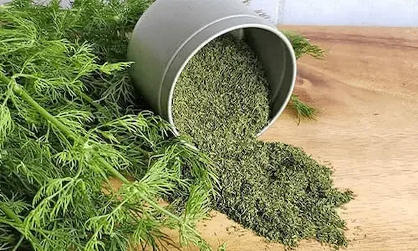 راهنمای خرید سبزی خشک شوید + قیمت عالی