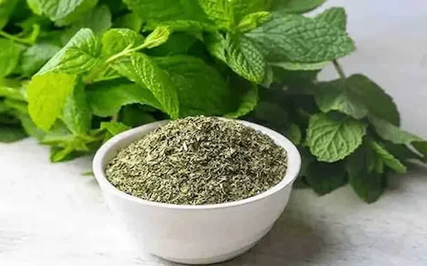 بهترین سبزی کلم پلو خشک + قیمت خرید عالی