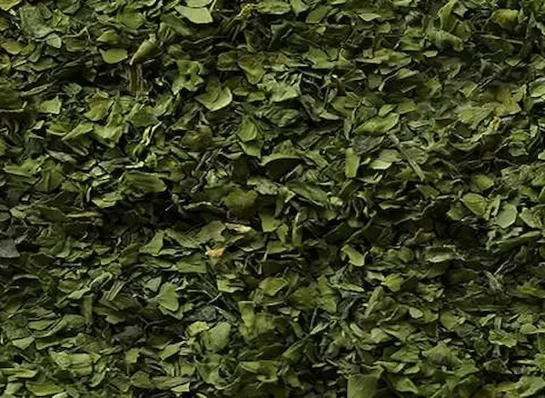 راهنمای خرید سبزی اسفناج خشک + قیمت عالی