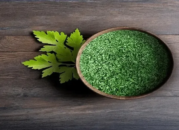 راهنمای خرید گشنیز خشک شده + قیمت عالی