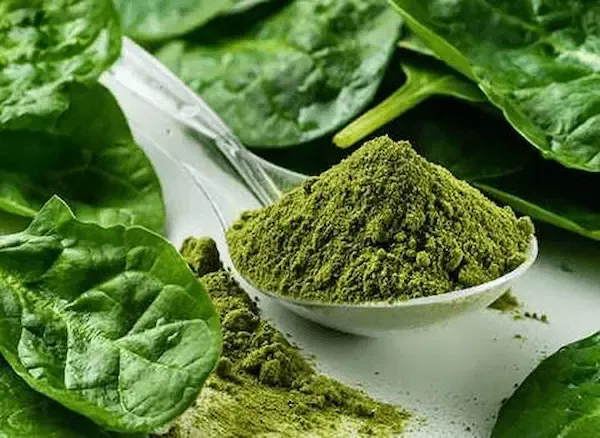 راهنمای خرید سبزی اسفناج خشک + قیمت عالی