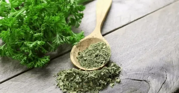 راهنمای خرید گشنیز خشک شده + قیمت عالی