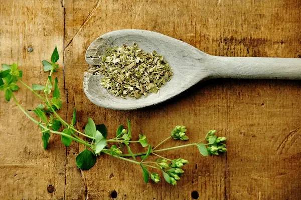 بهترین سبزی خشک آبگوشت + قیمت خرید عالی