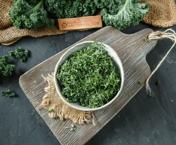 قیمت خرید سبزی خشک دلمه + مشخصات، عمده ارزان