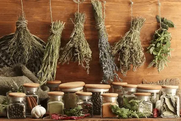 معرفی سبزی خشک ماهی + بهترین قیمت خرید