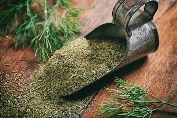 راهنمای خرید سبزی خشک شوید + قیمت عالی