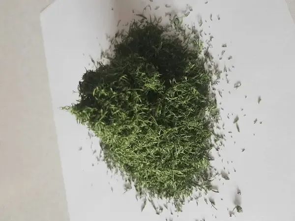 قیمت سبزی خشک ریباس + پخش تولیدی عمده کارخانه