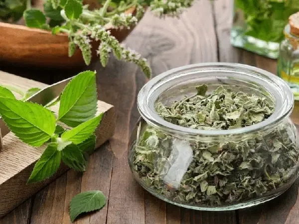 قیمت خرید سبزی خشک سالاد + مشخصات، عمده ارزان