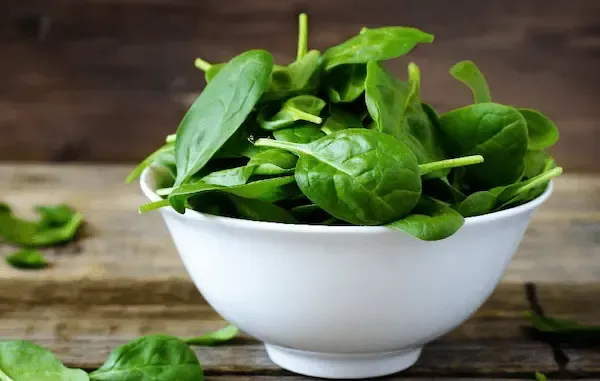 راهنمای خرید اسفناج خشک شده + قیمت عالی
