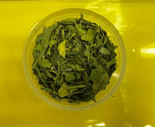 راهنمای خرید اسفناج خشک شده + قیمت عالی