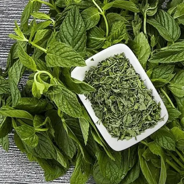 راهنمای خرید سبزی خشک شیراز + قیمت عالی