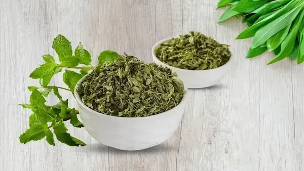 قیمت خرید شوید خشک پفکی + مشخصات، عمده ارزان