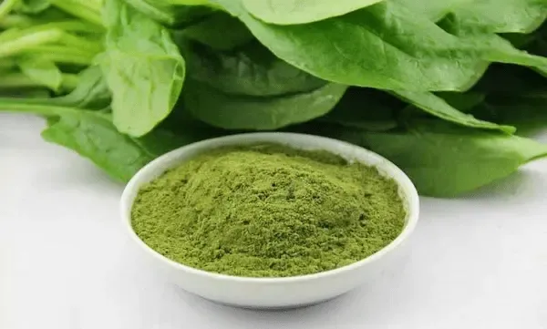 راهنمای خرید اسفناج خشک شده + قیمت عالی