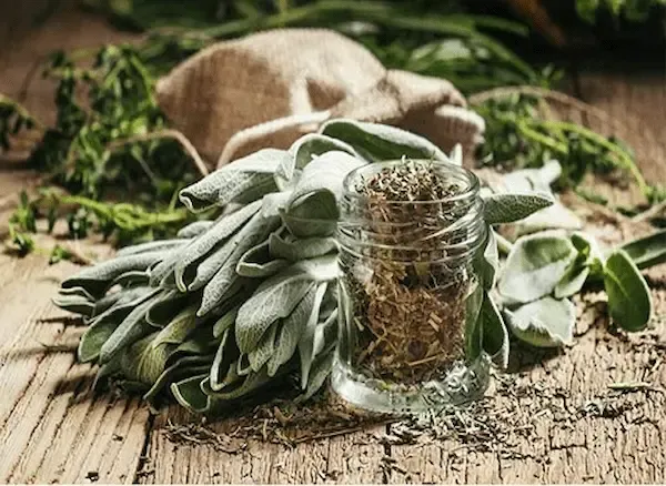 قیمت خرید سبزی خشک سمبوسه + مشخصات، عمده ارزان