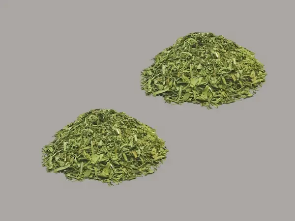راهنمای خرید شاهی خشک شده + قیمت عالی