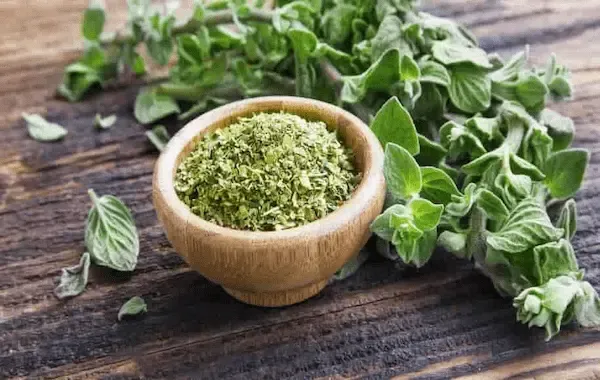 راهنمای خرید شاهی خشک شده + قیمت عالی